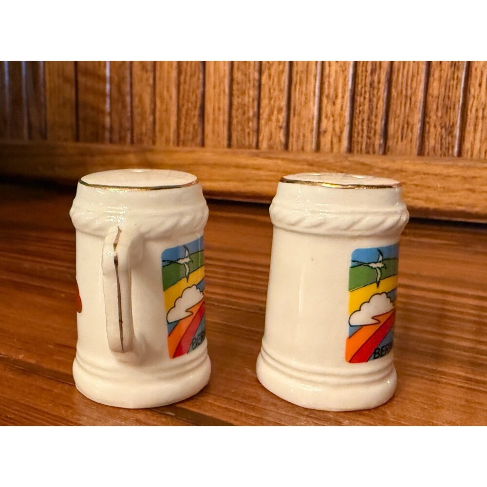Vintage Bermuda Salt Pepper Shakers Bone China Japan Rainbow Stein Set - Picture 2 of 9